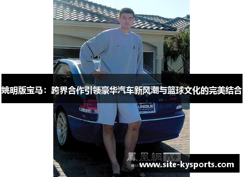 姚明版宝马：跨界合作引领豪华汽车新风潮与篮球文化的完美结合